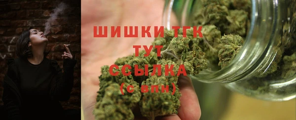 дживик Богородицк