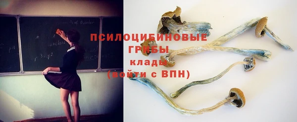 дживик Богородицк