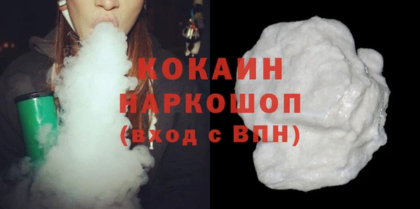 дживик Богородицк