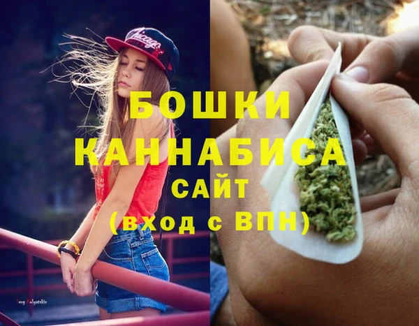 дживик Богородицк