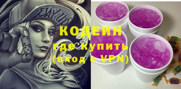 дживик Богородицк