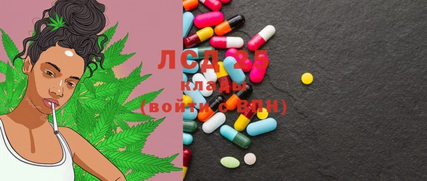 дживик Богородицк