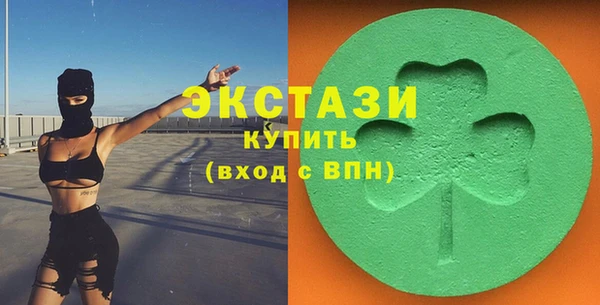 дживик Богородицк
